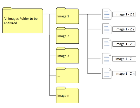 Folder_and_File_Organization_Image